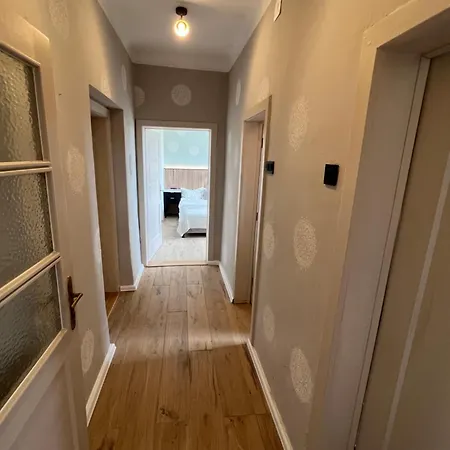 Haloze Chill 포들레흐니크