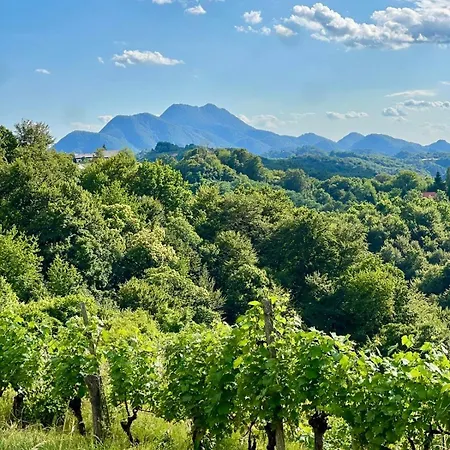 Haloze Chill Nyaraló Podlehnik