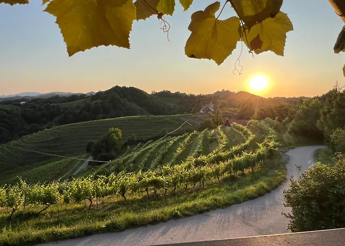 Casa de Férias Haloze Chill