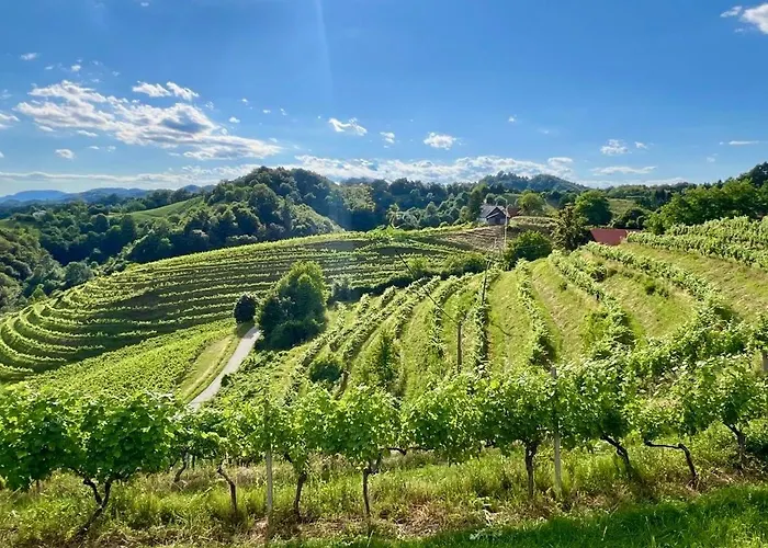 Casa de Férias Haloze Chill