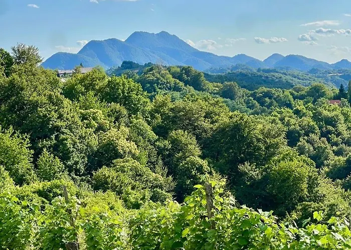 Haloze Chill بيت للعطل Podlehnik